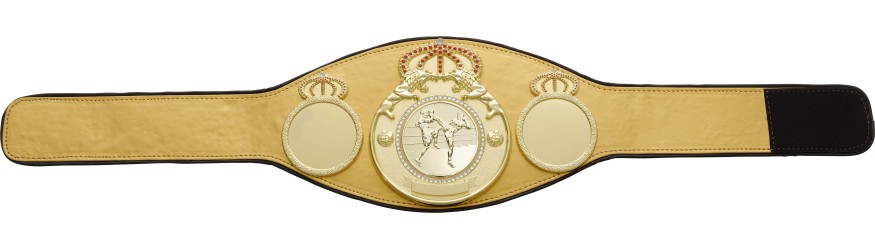 THAI BOXING CHAMPIONSHIP BELT PROLION/G/TBOG - AVAILABLE IN 6+ COLOURS THAI BOXING CHAMPIONSHIP BELT PROLION/G/TBOG - AVAILABLE IN 6+ COLOURS
